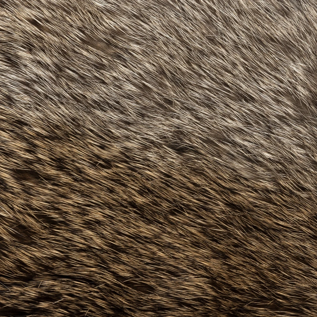 Flash Sale ๐ Fratelli Orsini ๐ Women's Gloves Francesca (brown) - Lambskin Leather Gloves With Brown Fur Lining โ๏ธ 7 Fratelli Orsini Women's Gloves Francesca (brown) - Lambskin Leather Gloves With Brown Fur Lining